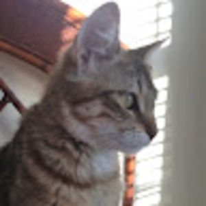 Meet your Posher, Jenny